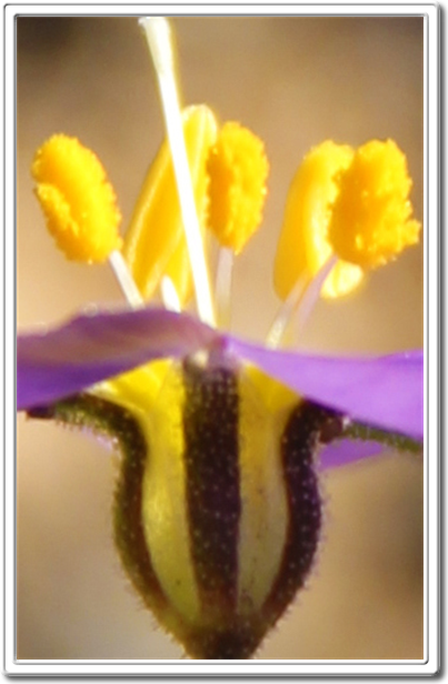 Art Photo Studio